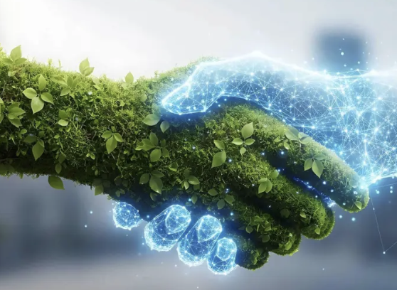 Digitale e sostenibilità: una scelta oltre il conformismo